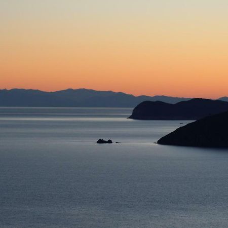 Struttura Turistica Villa Calamita Capoliveri  Eksteriør billede